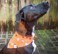 Image 3 of oso espooky bandana
