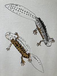 Image 5 of Great Crested Newts T -shirt