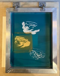 Image 5 of Northern Pool Frog print