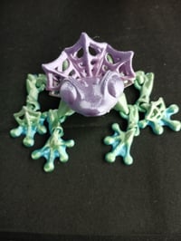 Spider Frog