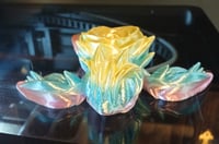 Image 1 of Flexi Rose Turtle