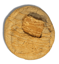 Biscoff  