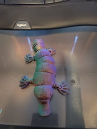 Image 2 of Flexi Platypus