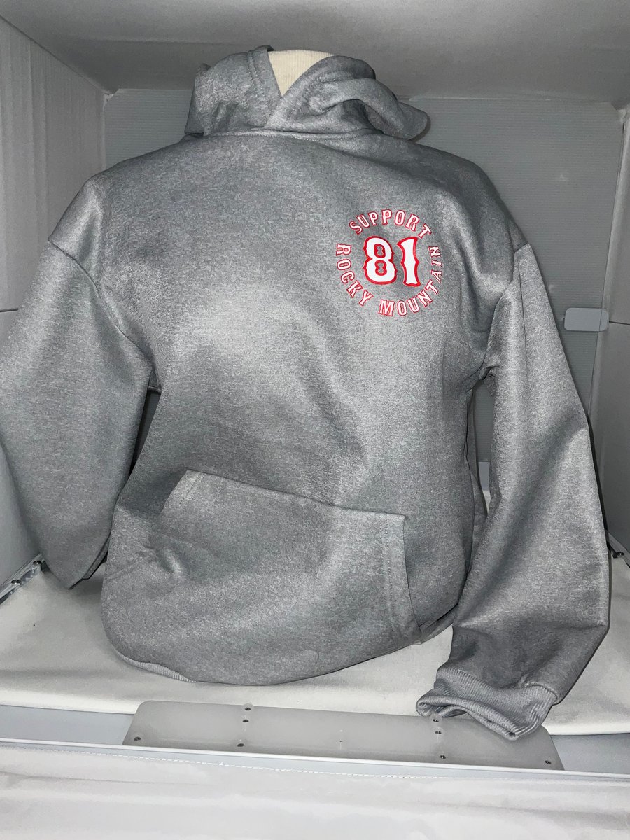 Image of Grey Hoodie 