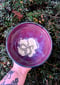 Image of Medium Serpentine Bowl - B