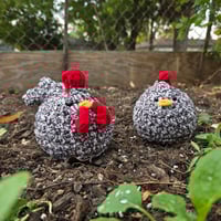 Image 2 of Black&White Chicken