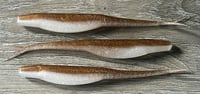 Image 5 of 5 in. jerk shad