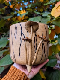 Image 2 of Golden Gilled Tree Stump Planter