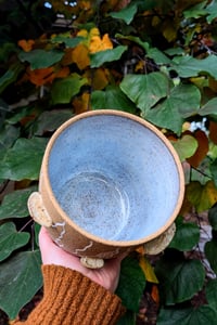 Image 3 of Shelf Mushroom Tree Stump Planter 