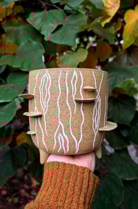Image 1 of Shelf Mushroom Tree Stump Planter 