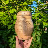 Image 1 of Gold Kissed Urn/Jar
