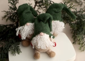 Image of Christmas Gnome Lovie