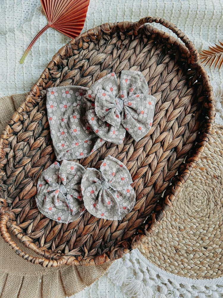 Image of Sage Daisies