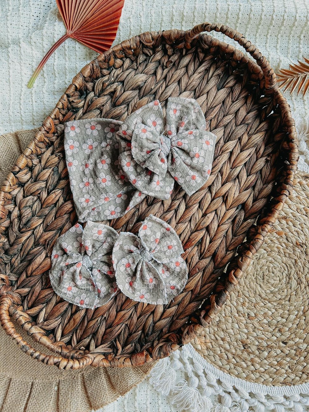 Image of Sage Daisies