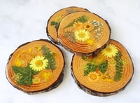 Image 1 of Rustic Wood Dried Flowers and Resin Set of Coasters (4)