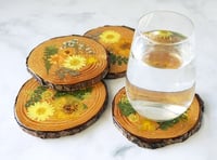 Image 2 of Rustic Wood Dried Flowers and Resin Set of Coasters (4)