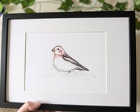 Hand Drawn Snow Bunting Design Print