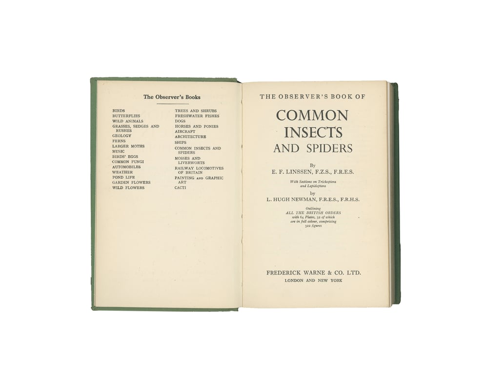 Image of The Observer's Book of Common British Insects & Spiders