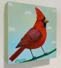 Image 2 of Little Cardinal II