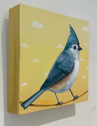 Image 2 of Little Tufted Titmouse