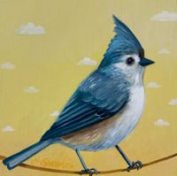 Image 1 of Little Tufted Titmouse