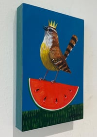 Image 2 of Carolina Wren Watermelon Indigo