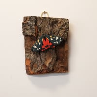 Image 1 of Scarlet Tiger Moth