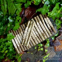 Image 3 of Solstice Hazel Ogham Staves (D252)