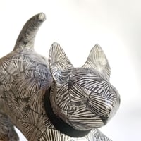 Image 1 of Gato mini