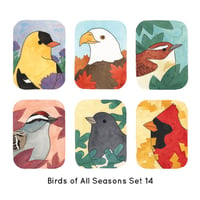 Birds of All Seasons Card Set 14