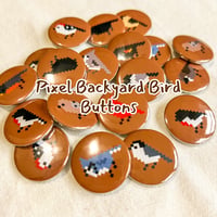 Image 1 of Pixel Backyard Bird Buttons