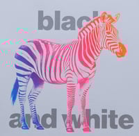 Image 3 of Love's Not Black and White