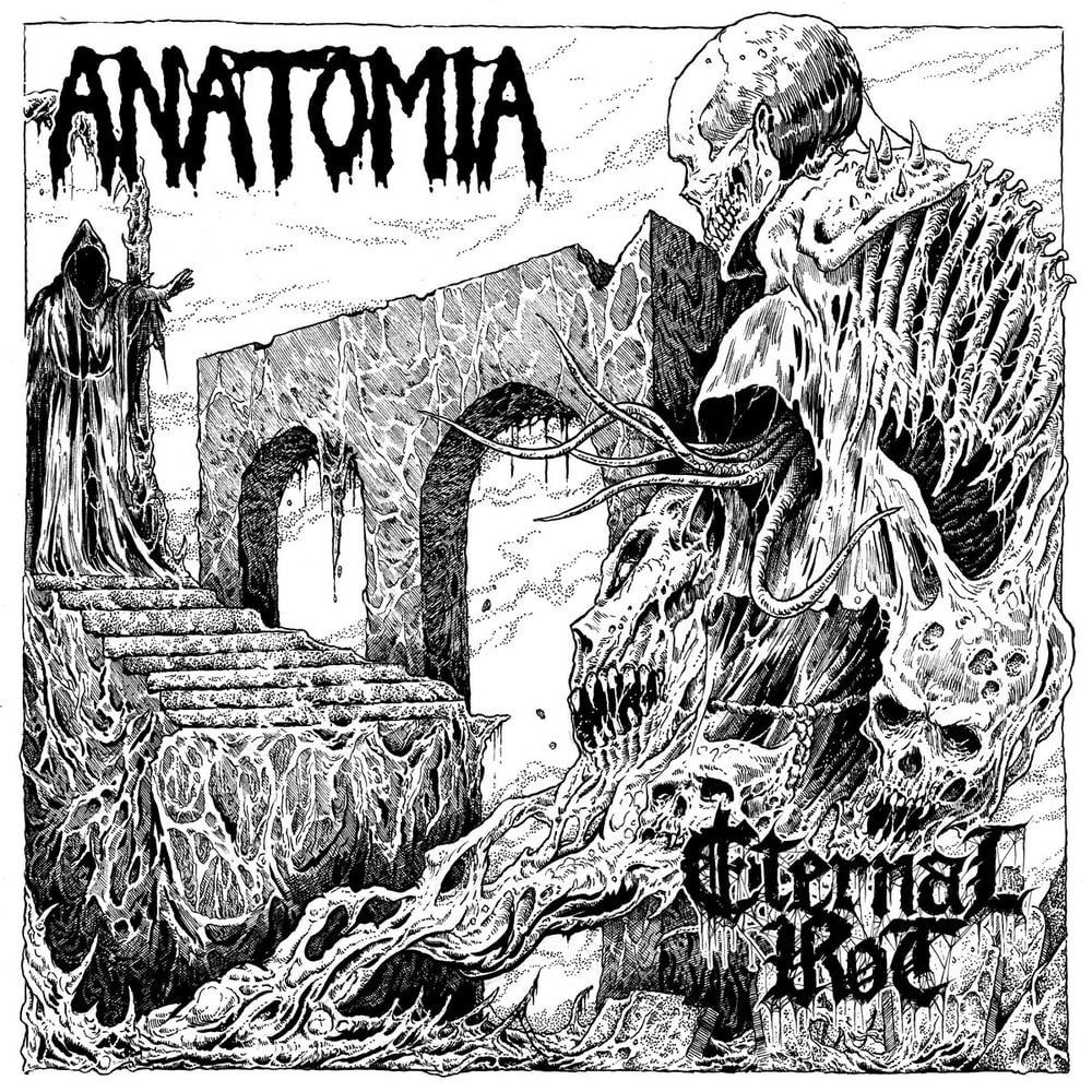 Image of Anatomia  / Eternal Rot - Split LP