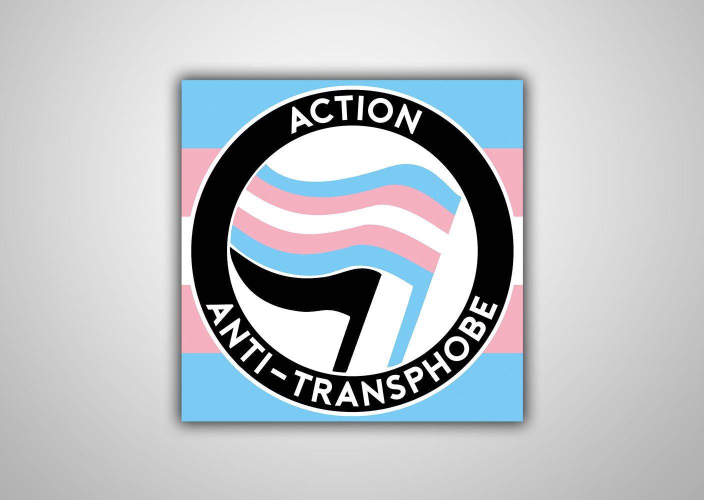 Image of 100 Autocollants "Action Anti-transphobe"