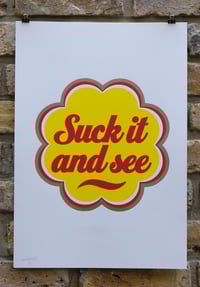 Image 2 of Suck it and see