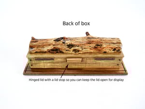 Image of Handmade Ash log wood Keepsake Box with Maple box and Walnut Bottom, Knife Box, Wooden Treasure box
