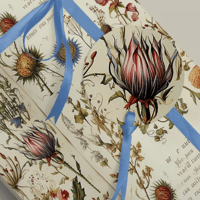 Image 2 of Gift Wrap