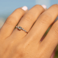 Image 2 of Gloria Lucis