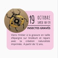 INSECTES GRAVÉS - 2H30 à 3H.