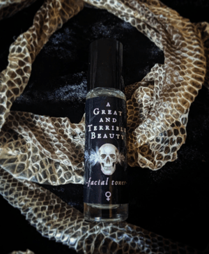 Image of A Great and Terrible Beaty | Facial Toner