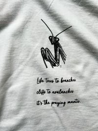 Image 1 of Francis