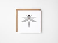 Dragonfly Greeting Card