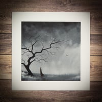 Seeking Clarity - Print