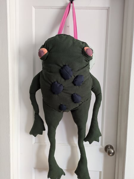 Image of Big Frog Bag