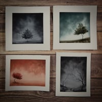 Image 1 of Tutorial Paintings