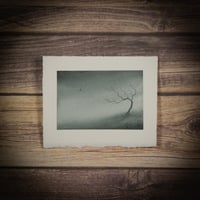 The Lonely