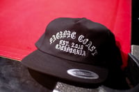 Established Skater Hat