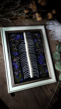 Image 4 of Spine and Ribs Floral Desktop Frame