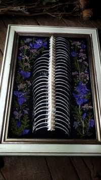 Image 5 of Spine and Ribs Floral Desktop Frame