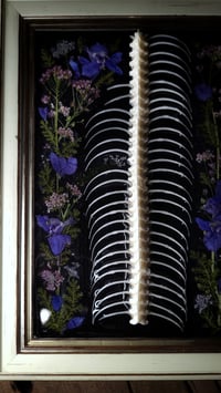 Image 1 of Spine and Ribs Floral Desktop Frame